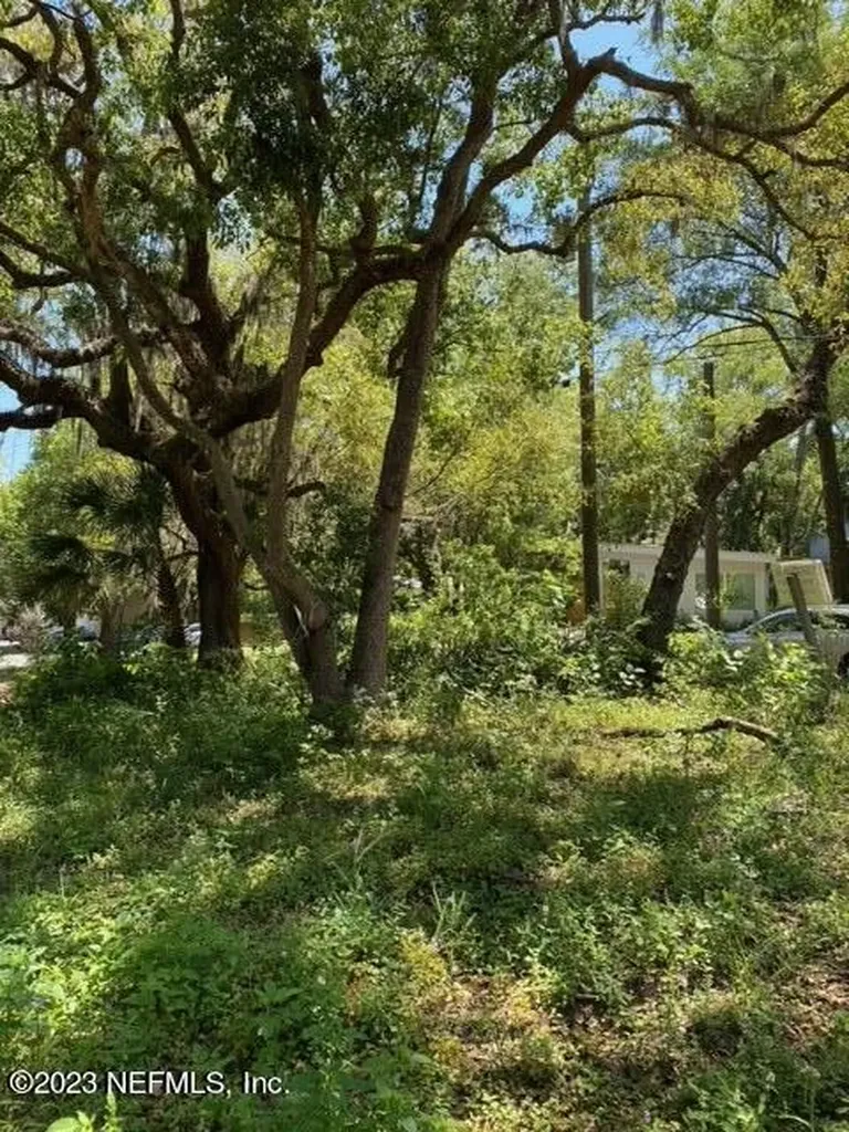 560 Live Oak Street St. Augustine FL 32084
