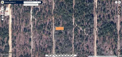 0 SW 57th Avenue Interlachen FL 32148