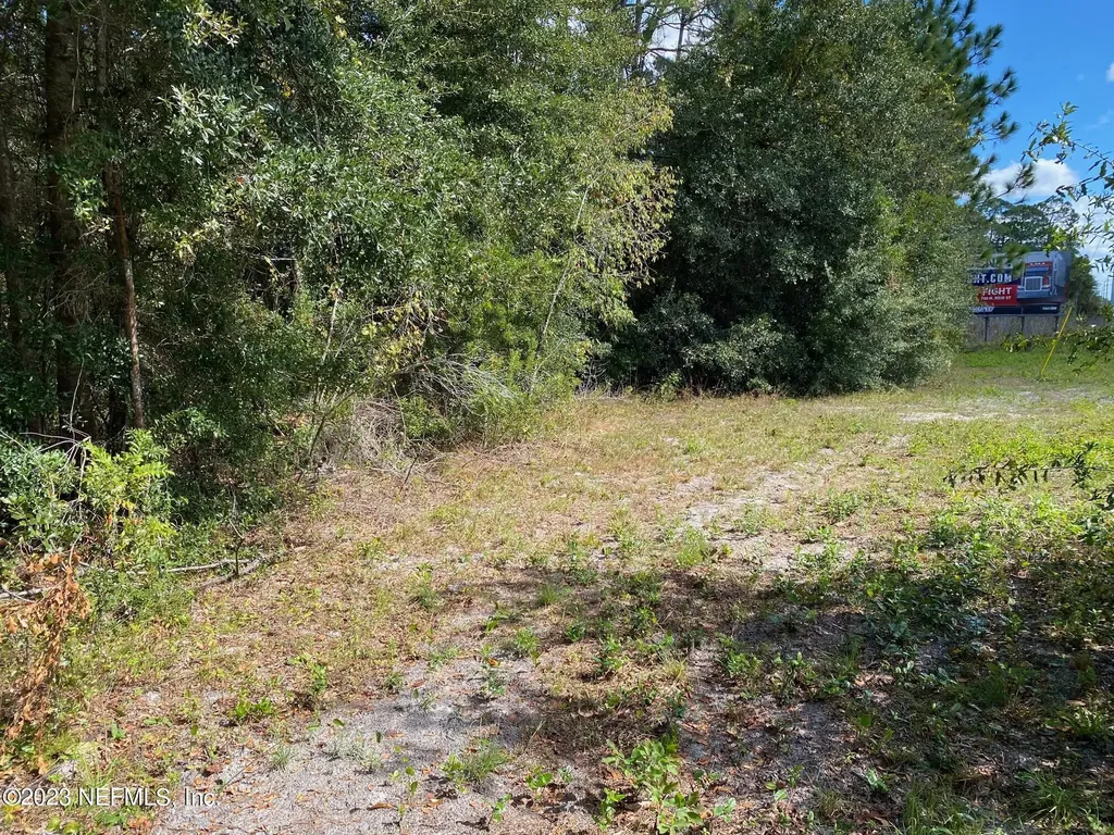 Tbd Fl Sr 20 Highway Interlachen FL 32148