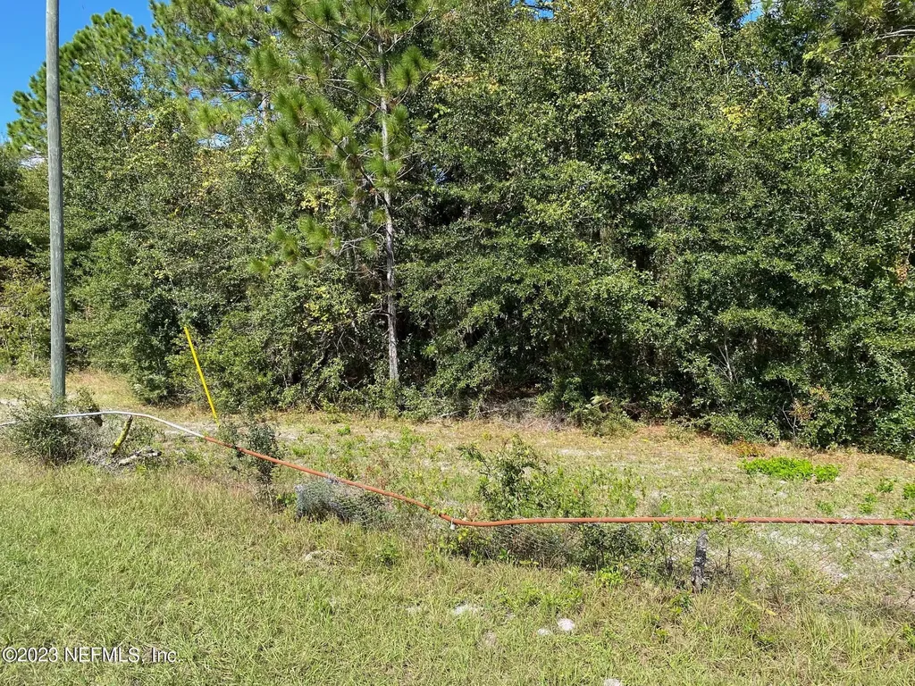 Tbd Fl Sr 20 Highway Interlachen FL 32148