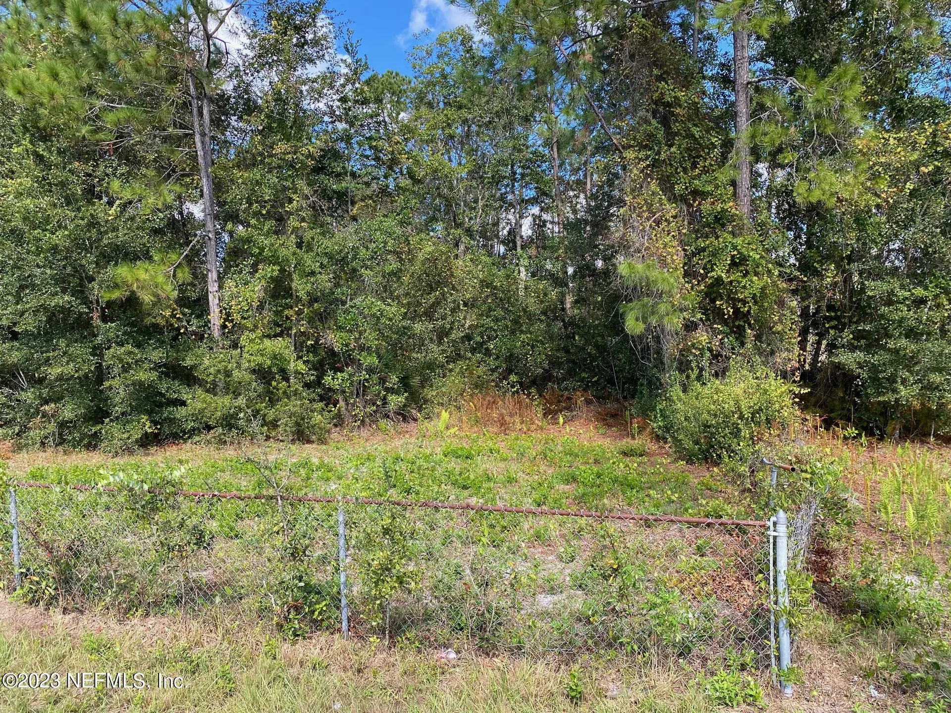 Tbd Fl Sr 20 Highway Interlachen FL 32148