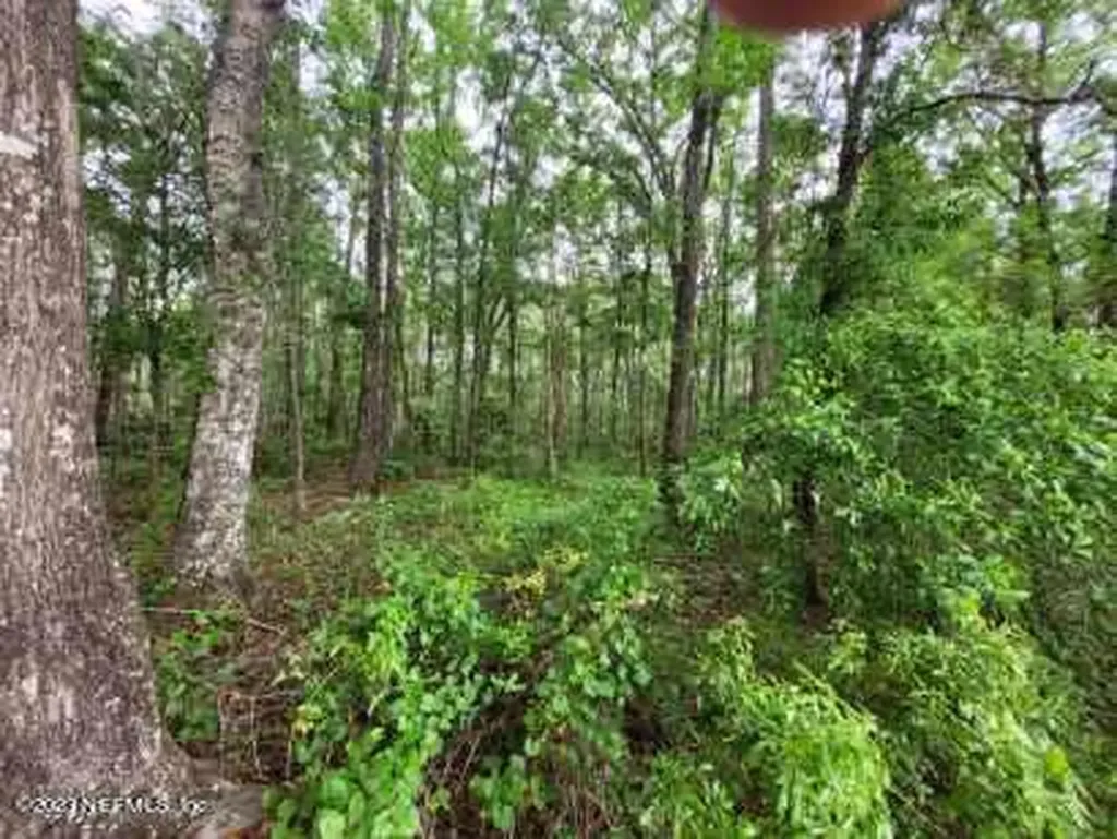 2777 County Road 220 Middleburg FL 32068