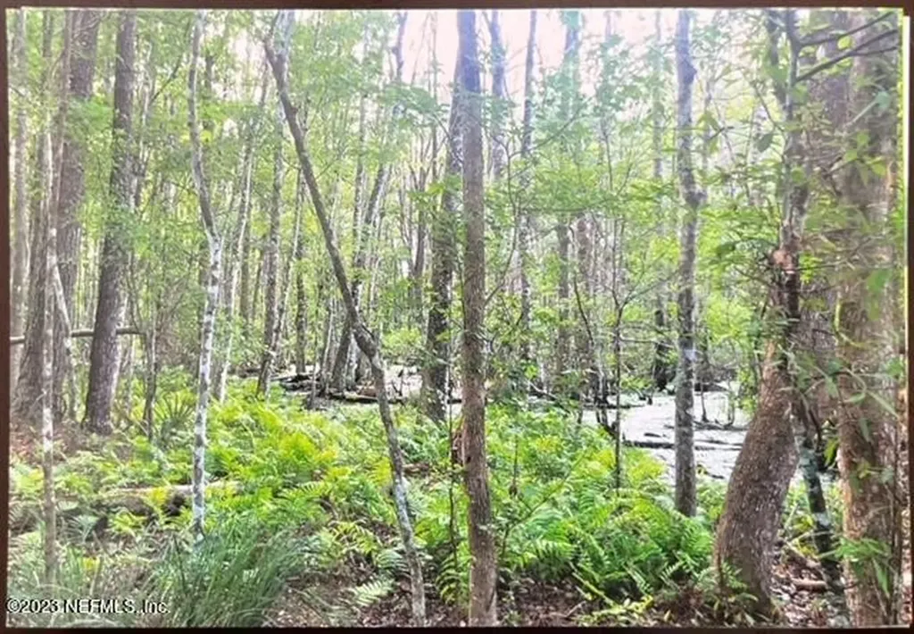 2777 County Road 220 Middleburg FL 32068