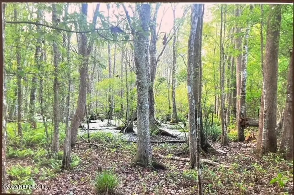 2777 County Road 220 Middleburg FL 32068