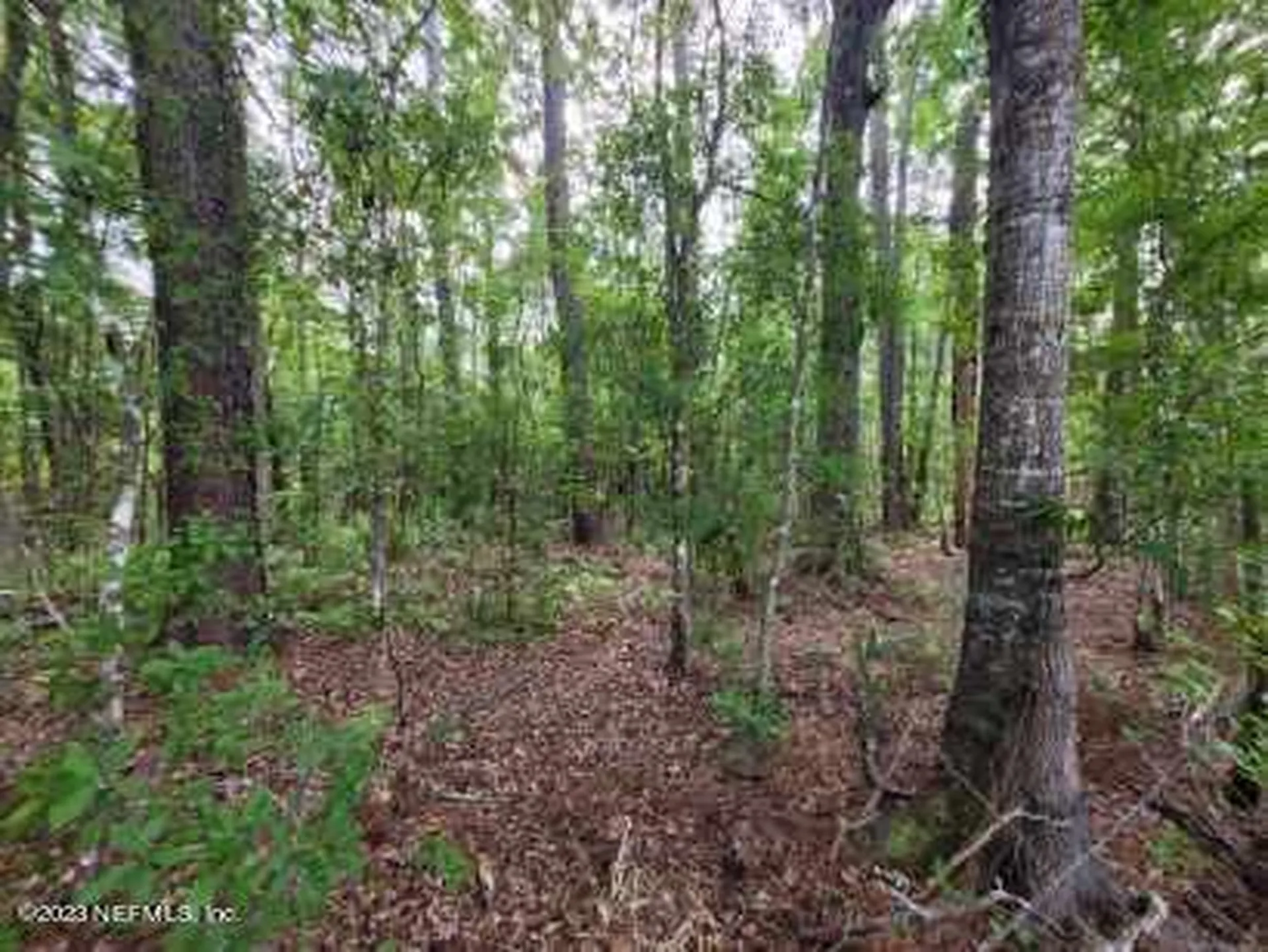 2777 County Road 220 Middleburg FL 32068