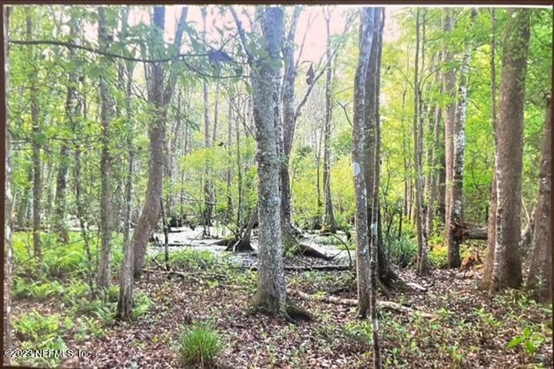 2777 County Road 220 Middleburg FL 32068