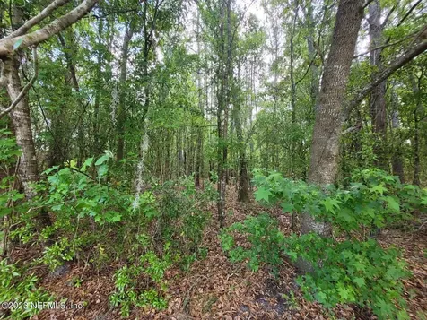 2777 County Road 220 Middleburg FL 32068