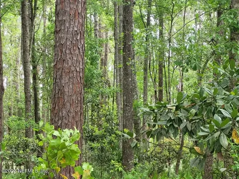 2777 County Road 220 Middleburg FL 32068