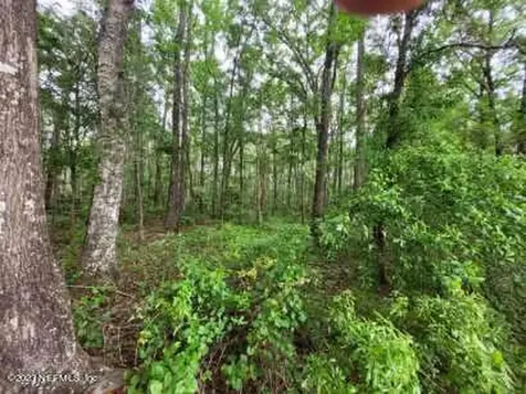 2777 County Road 220 Middleburg FL 32068
