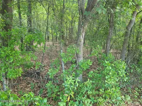 2777 County Road 220 Middleburg FL 32068