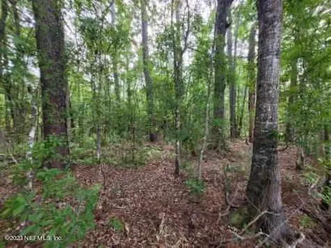 2777 County Road 220 Middleburg FL 32068