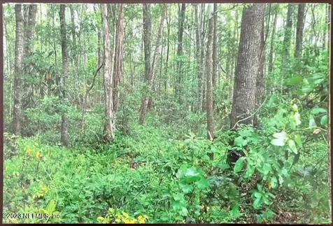 2777 County Road 220 Middleburg FL 32068