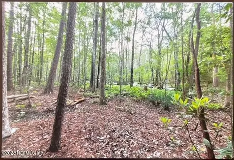 2777 County Road 220 Middleburg FL 32068