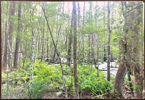 2777 County Road 220 Middleburg FL 32068