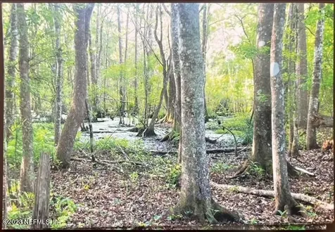 2777 County Road 220 Middleburg FL 32068