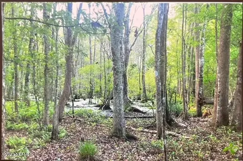 2777 County Road 220 Middleburg FL 32068