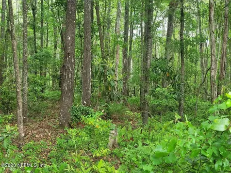 2777 County Road 220 Middleburg FL 32068