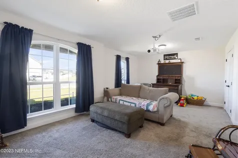 3017 Vianey Place Green Cove Springs FL 32043