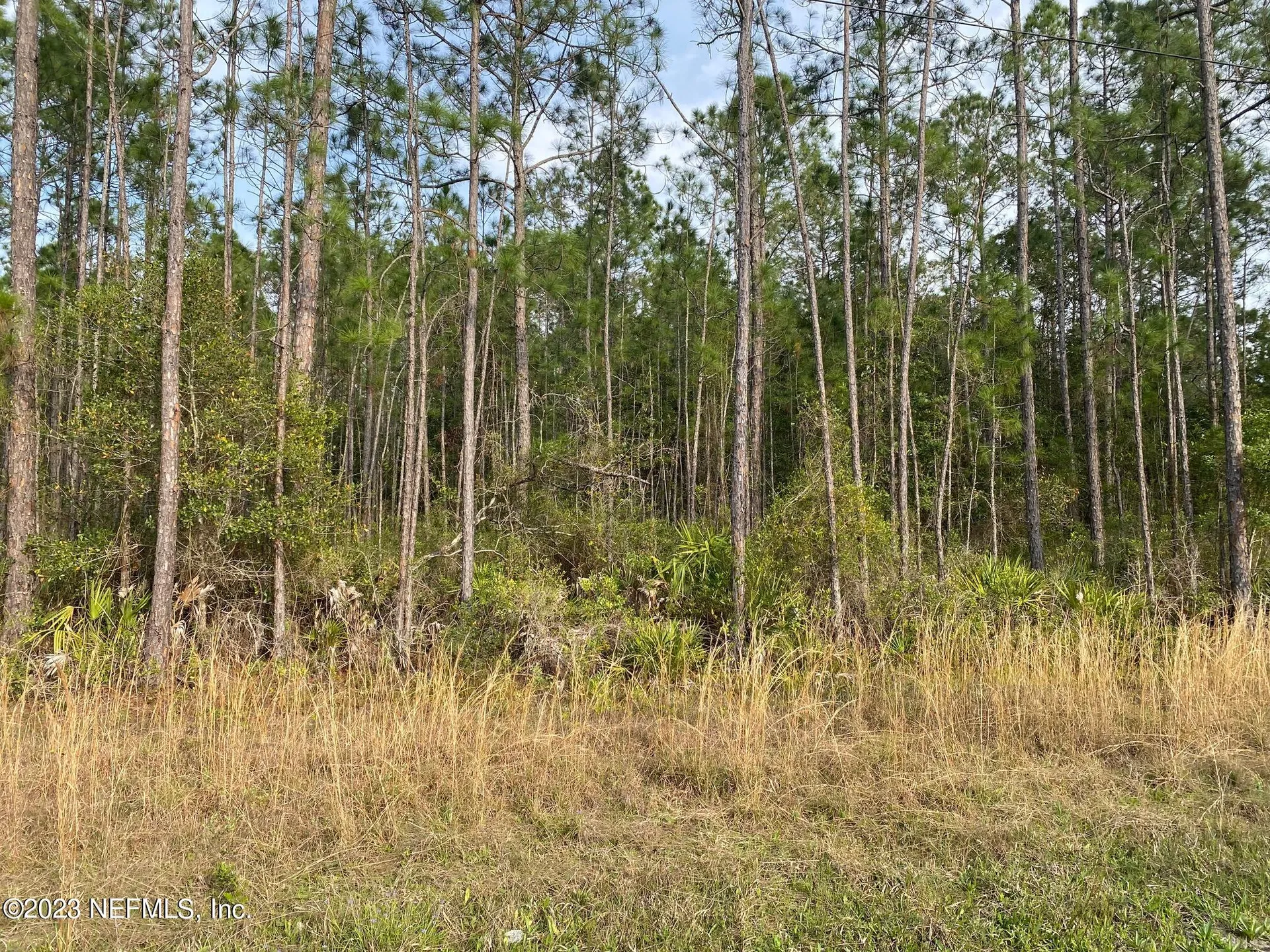 Aaa Cr 315 Interlachen FL 32148