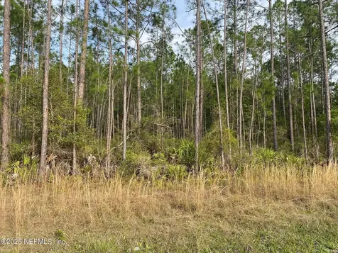 Aaa Cr 315 Interlachen FL 32148
