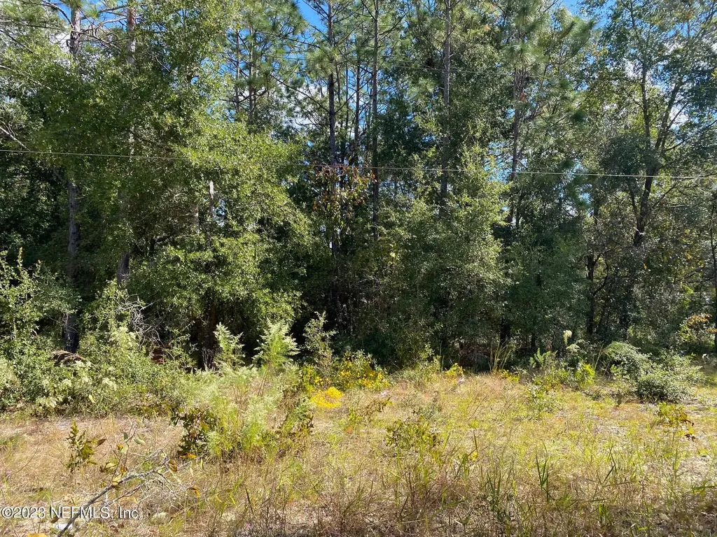 X9X Tasby Street Interlachen FL 32148