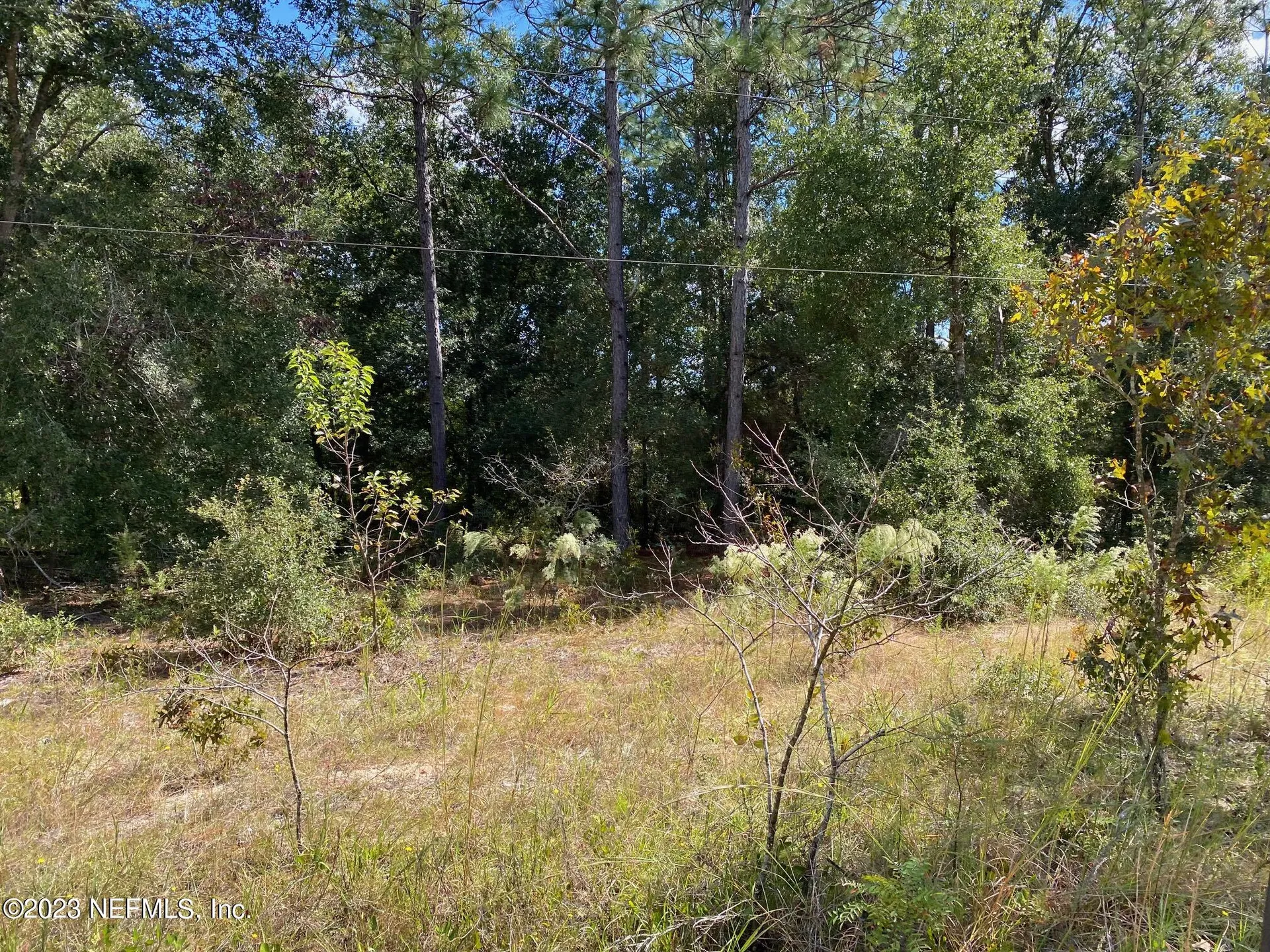 X9X Tasby Street Interlachen FL 32148