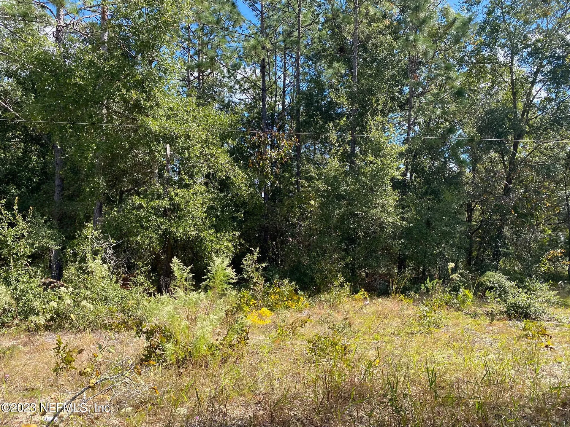 X9X Tasby Street Interlachen FL 32148