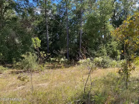 X9X Tasby Street Interlachen FL 32148