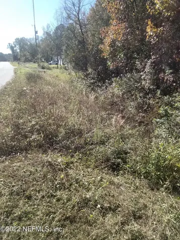 67 Orchid Avenue Middleburg FL 32068