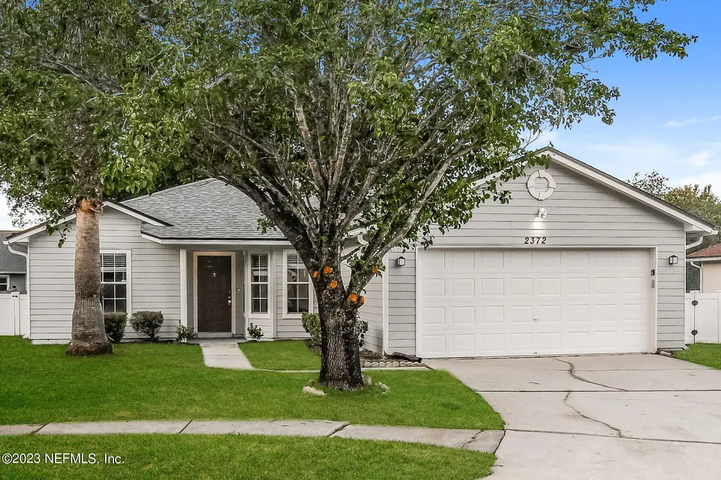 2372 Tigress Lane Middleburg FL 32068