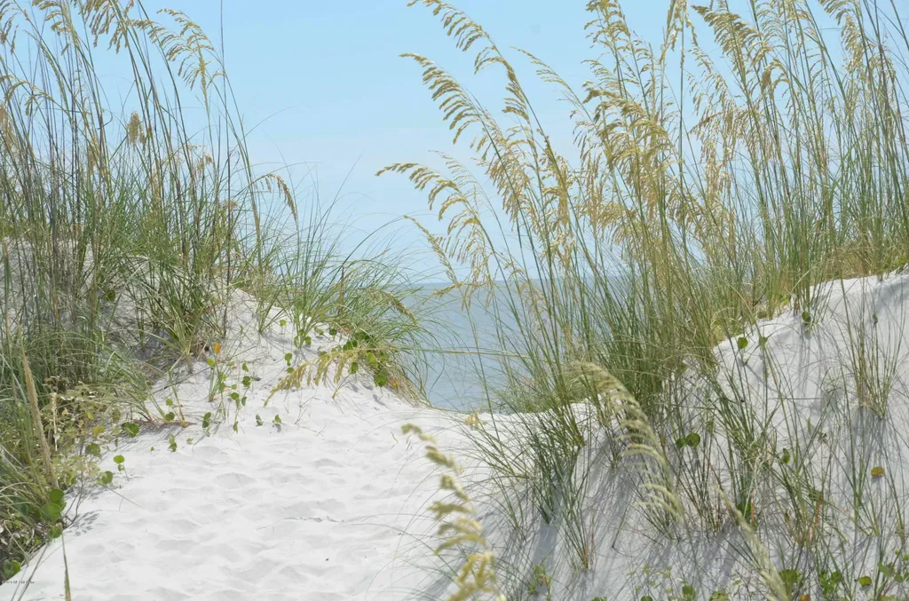 704 Ocean Front Neptune Beach FL 32266