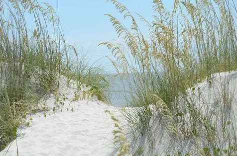 704 Ocean Front Neptune Beach FL 32266