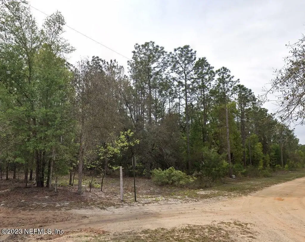 Lot 47 River Street Interlachen FL 32148