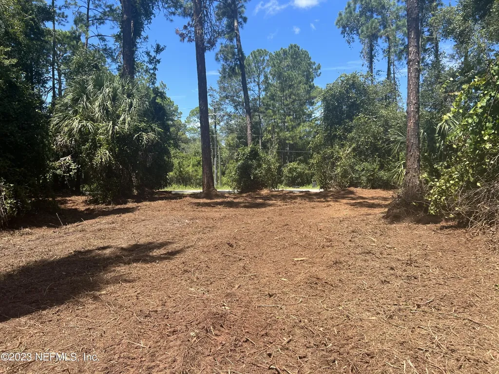 162 Whispering Pines Road Georgetown FL 32139