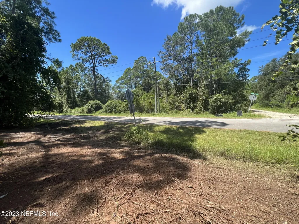 162 Whispering Pines Road Georgetown FL 32139