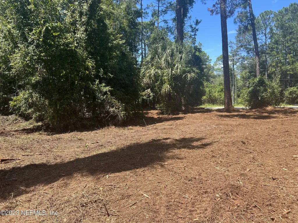 162 Whispering Pines Road Georgetown FL 32139