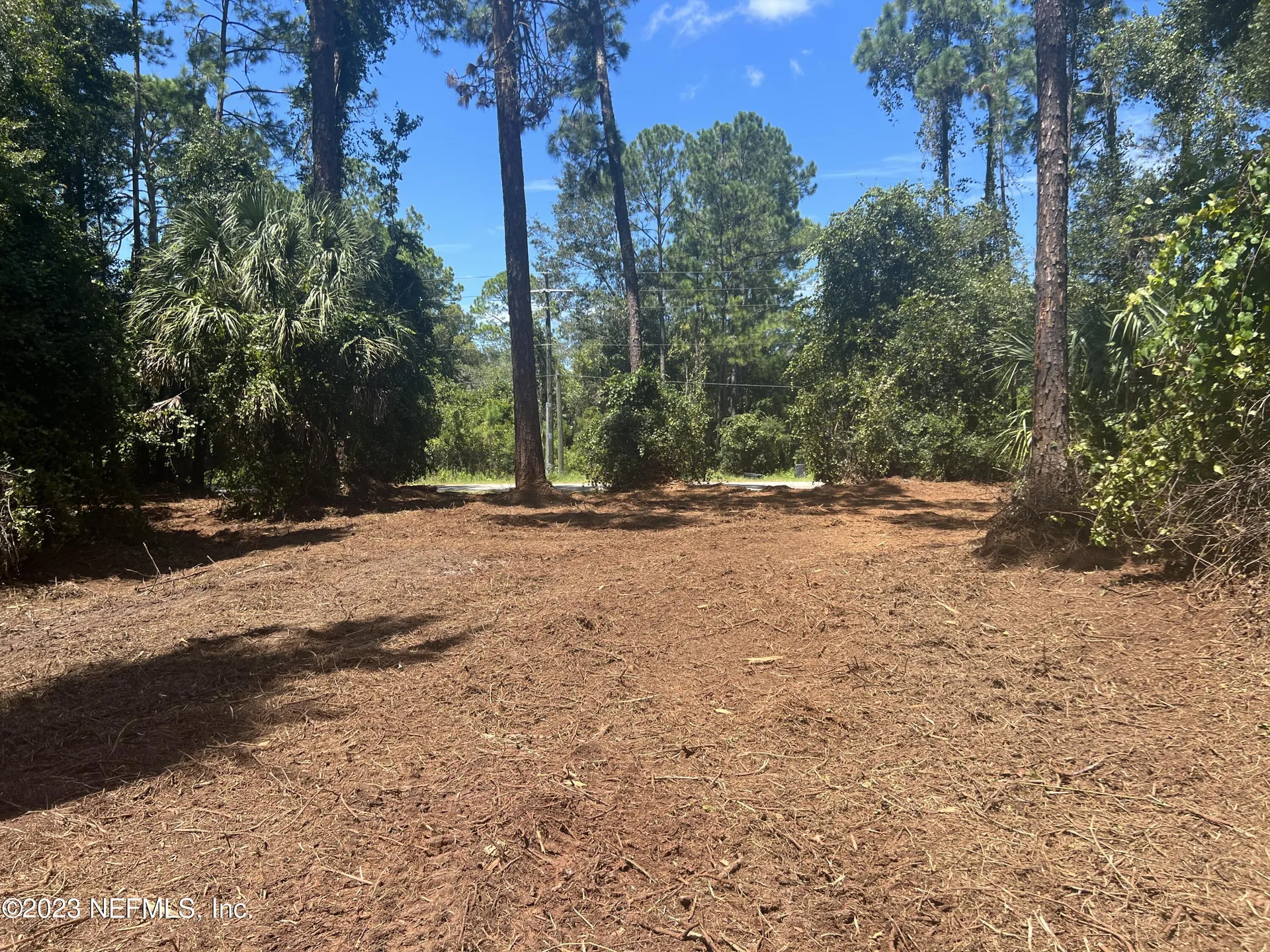 162 Whispering Pines Road Georgetown FL 32139