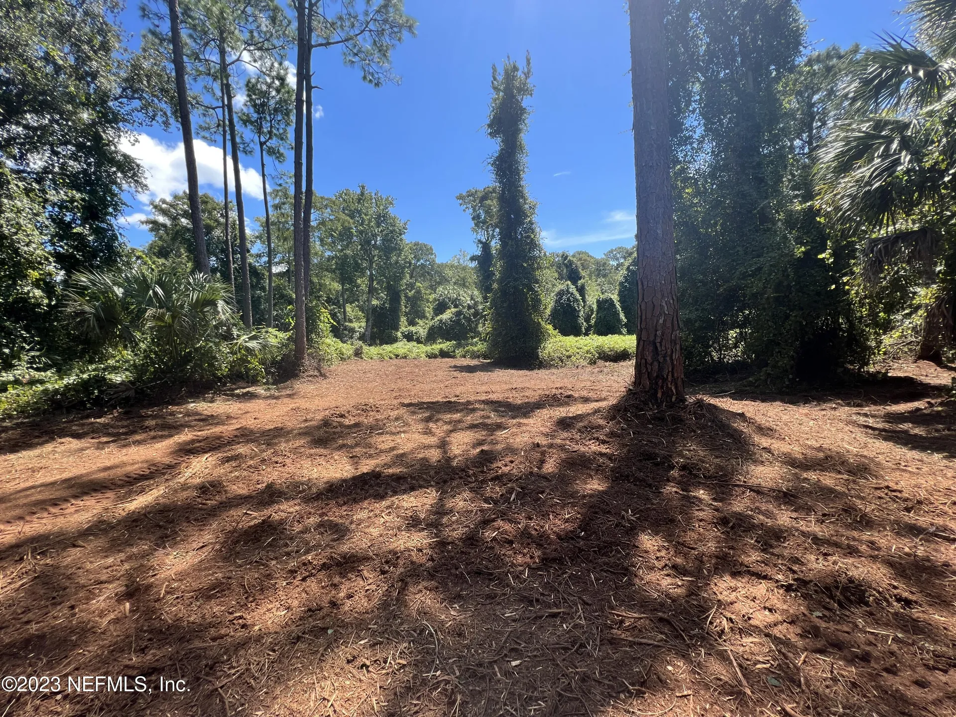 162 Whispering Pines Road Georgetown FL 32139