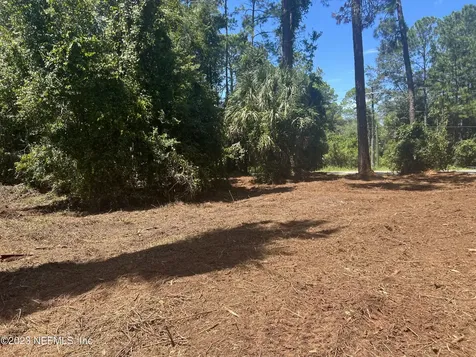 162 Whispering Pines Road Georgetown FL 32139
