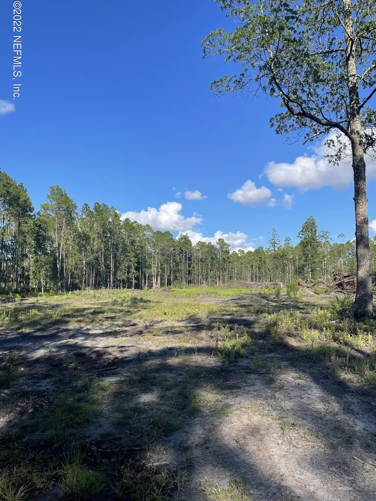 4420 Bondarenko Road Keystone Heights FL 32656