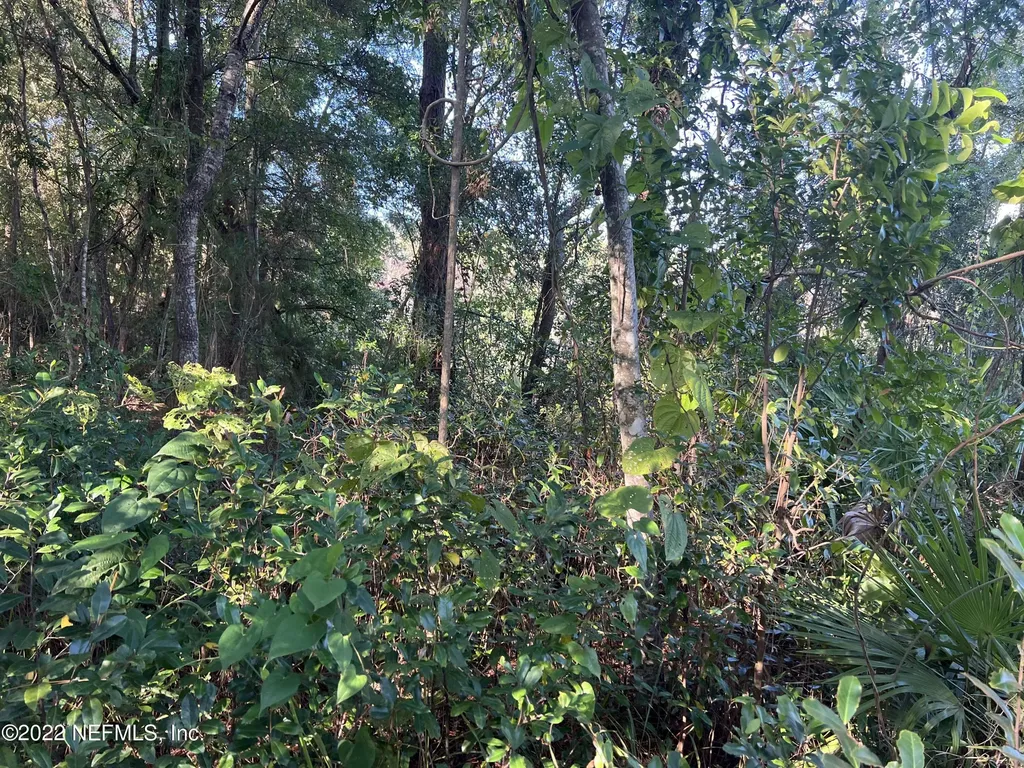 0 Lola Drive Jacksonville FL 32210