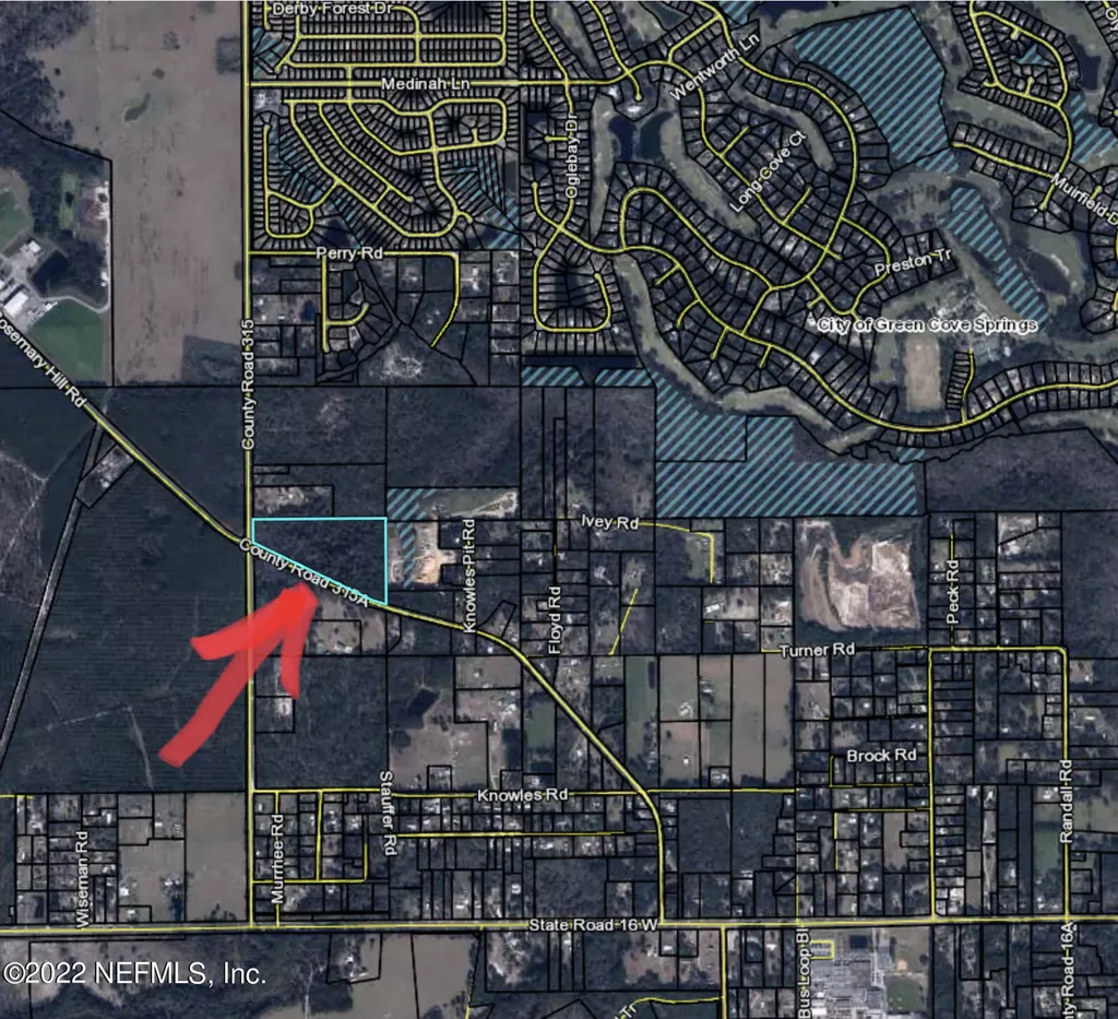 3725 Co Road 315a Green Cove Springs FL 32043