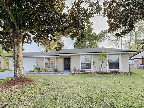 1737 Gumtree Drive Orange Park FL 32073