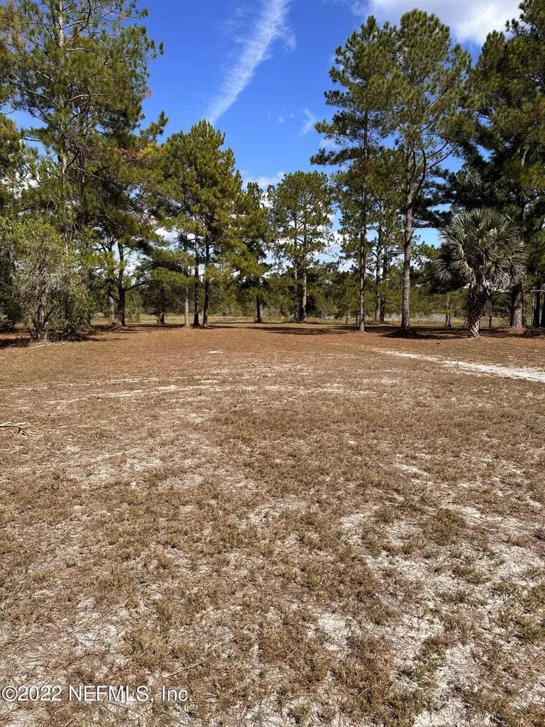 00-13 SE 265th Court Road Umatilla FL 32784