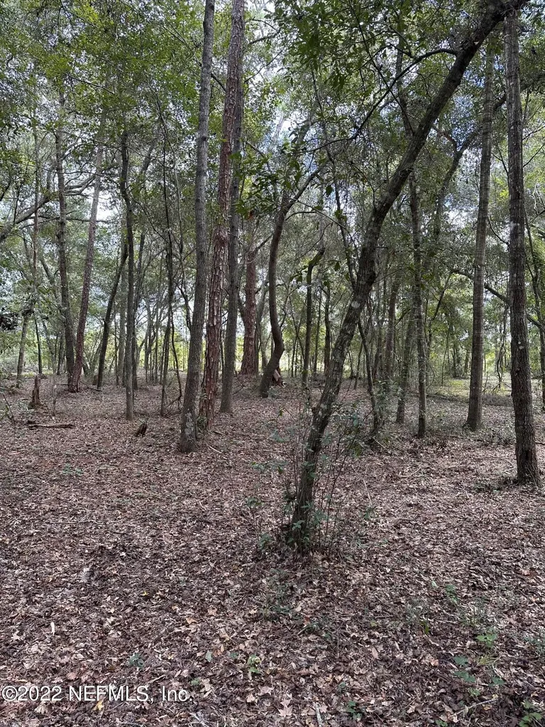 00-13 SE 265th Court Road Umatilla FL 32784