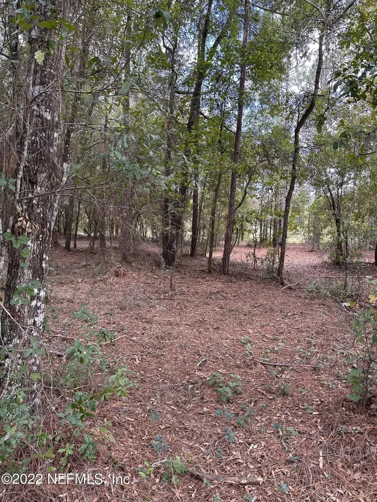 00-13 SE 265th Court Road Umatilla FL 32784