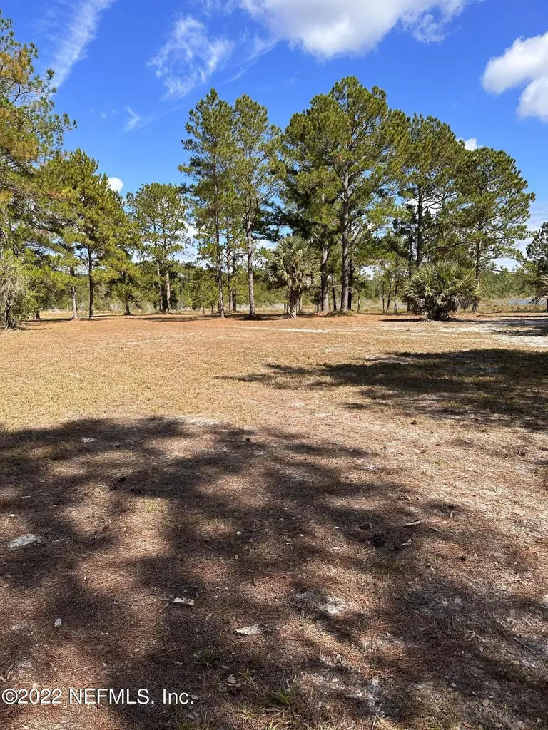 00-13 SE 265th Court Road Umatilla FL 32784