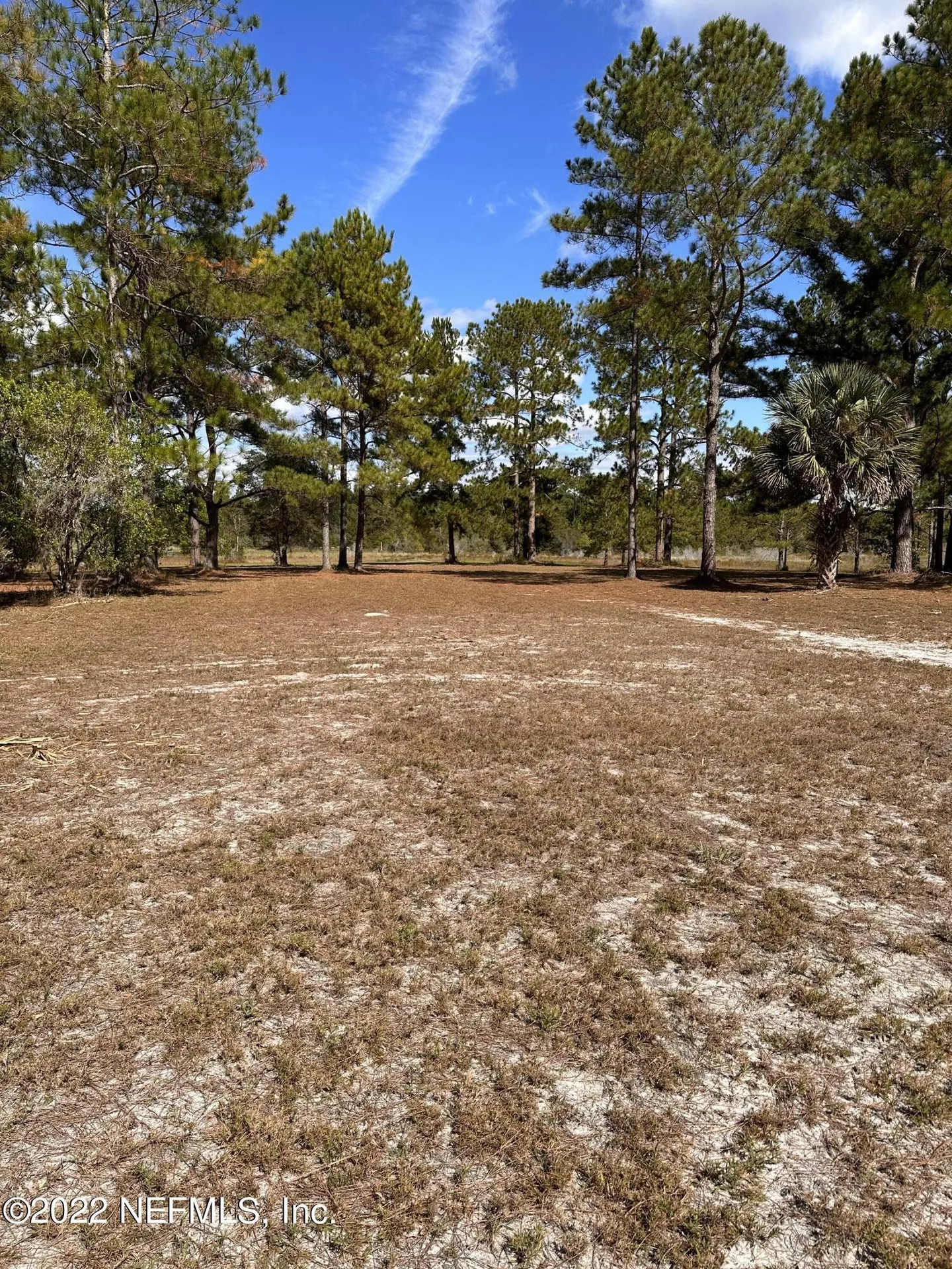 00-13 SE 265th Court Road Umatilla FL 32784