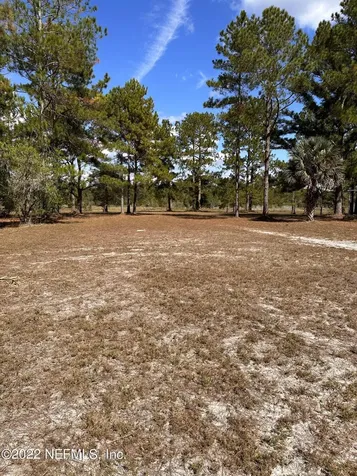 00-13 SE 265th Court Road Umatilla FL 32784