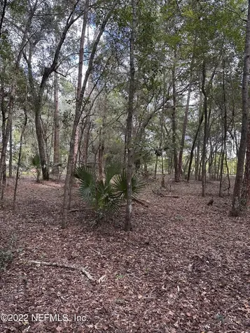 00-13 SE 265th Court Road Umatilla FL 32784